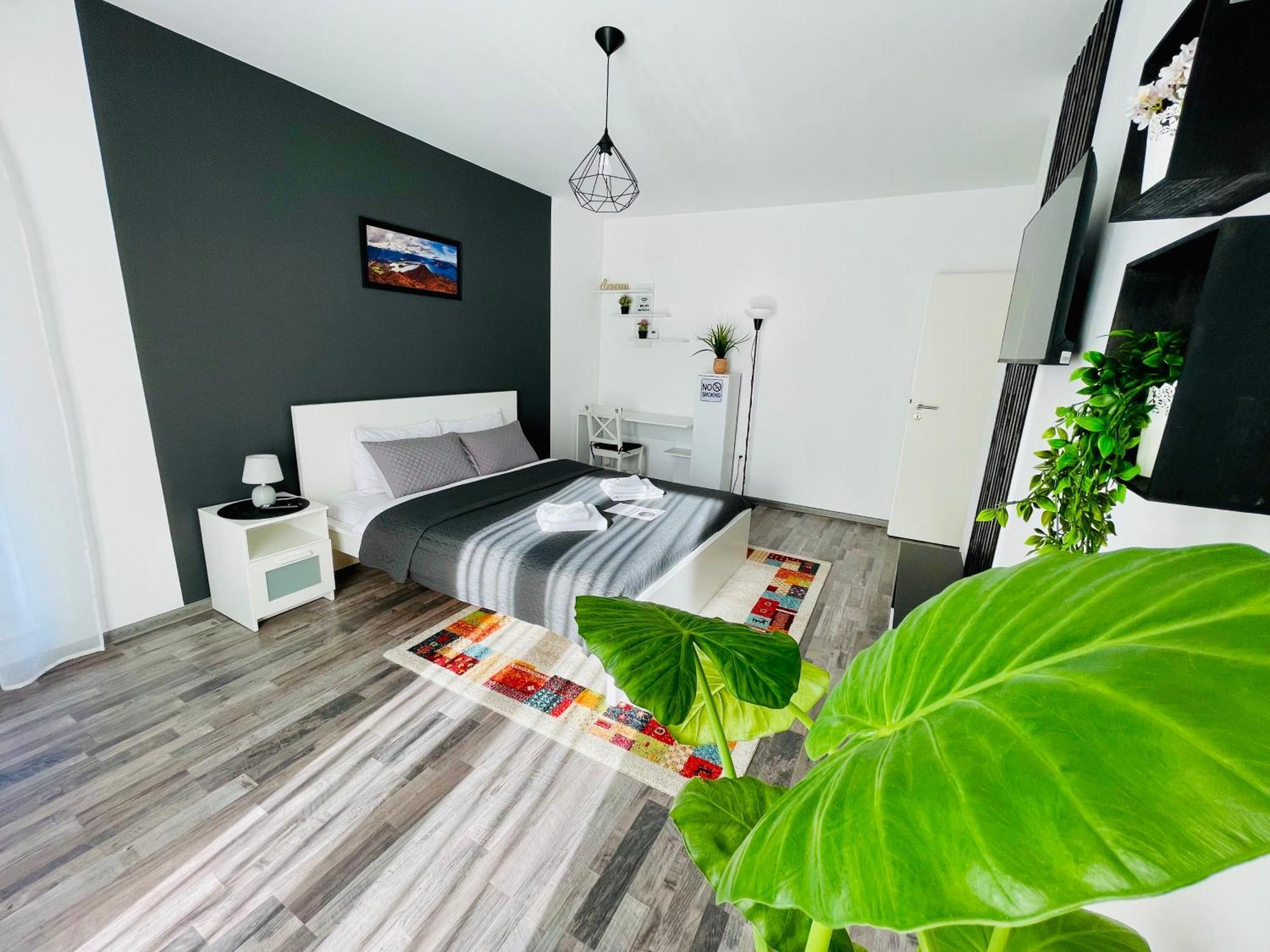 Montsee Brasov Apartment Екстериор снимка