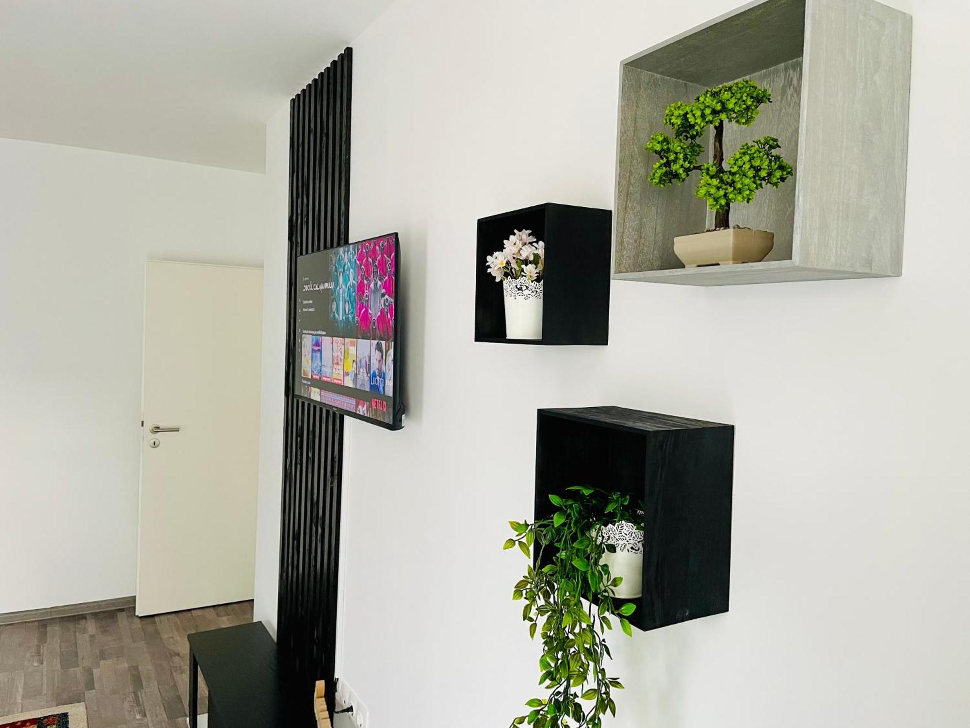 Montsee Brasov Apartment Екстериор снимка